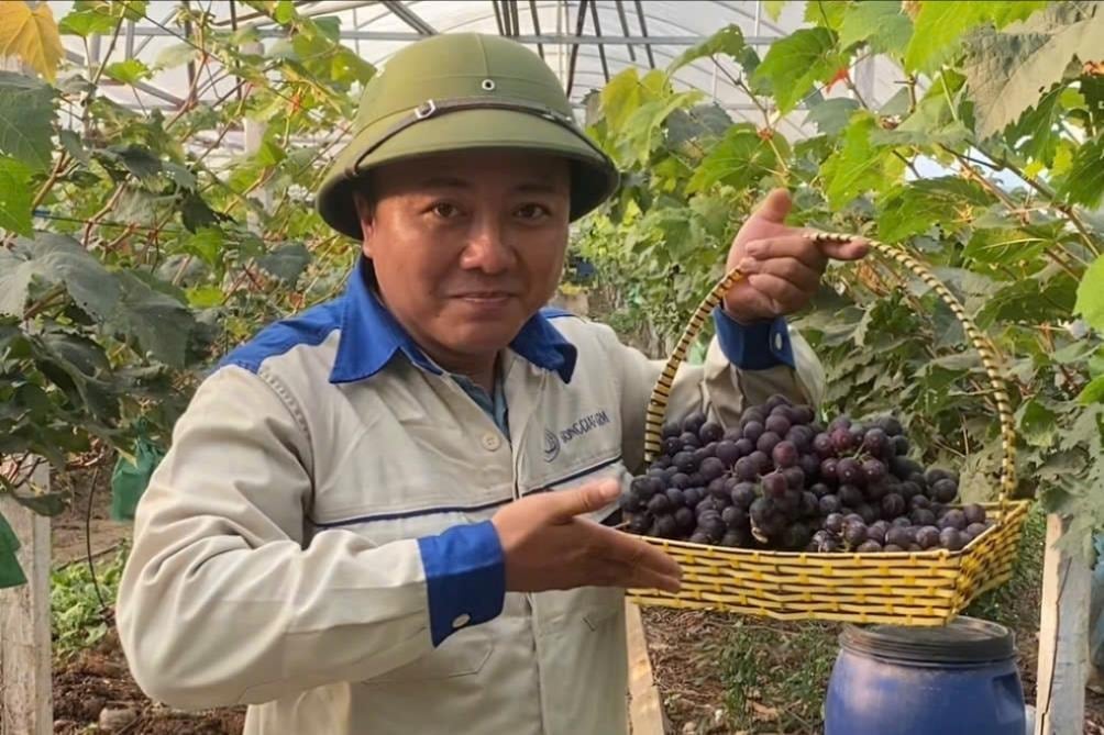 Young people farming in the 4.0 era - towards green, clean, sustainable agriculture