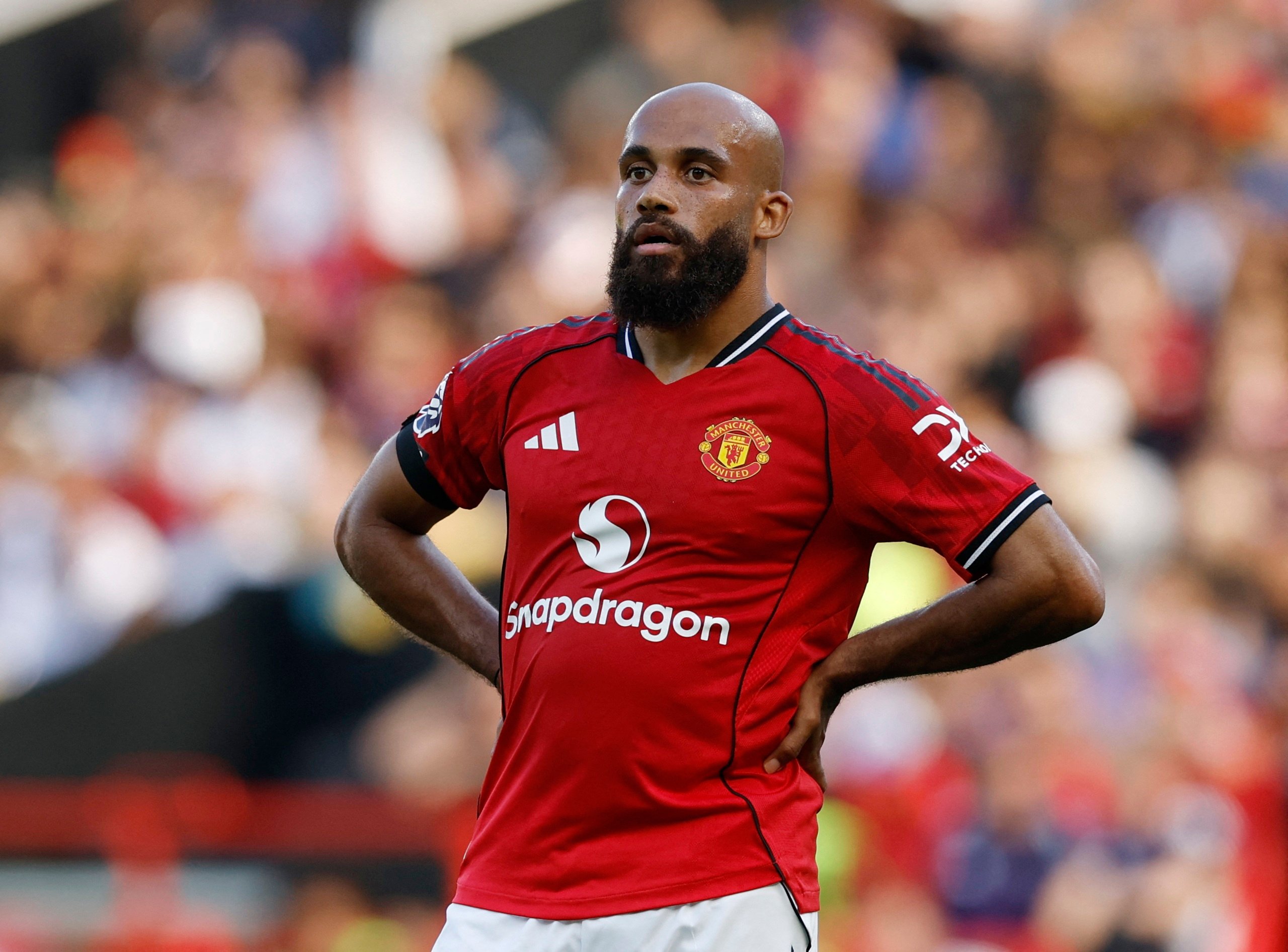 Premier League anh 8