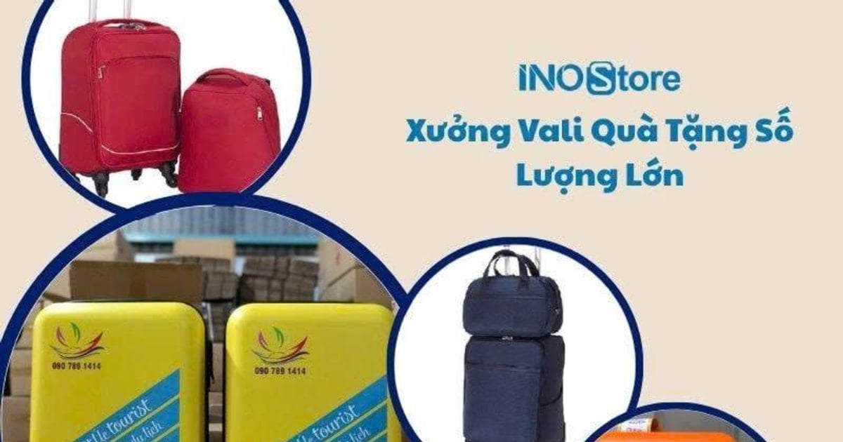 Gift trends 2025: Plastic suitcases and fabric suitcases are on the rise