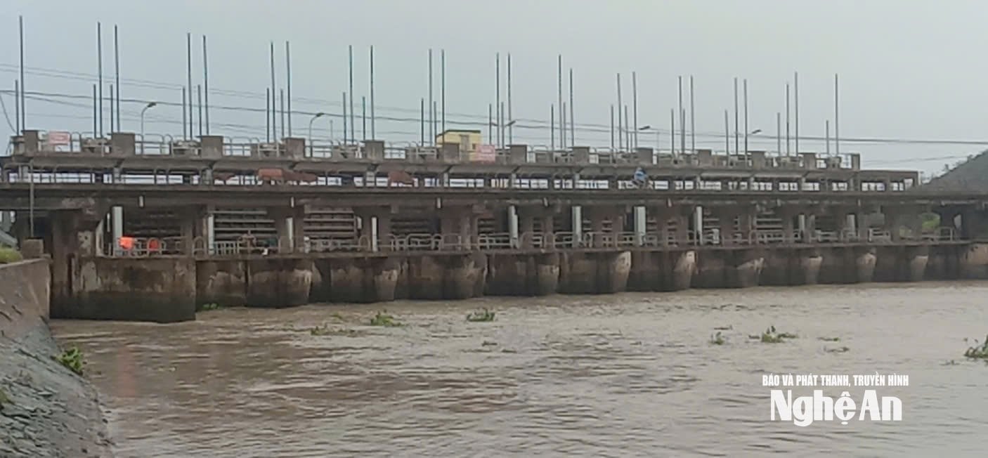 វ៉ាល់ m345
