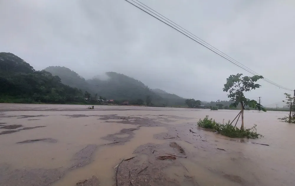 Joining hands to cope with rain, floods after storm No. 5