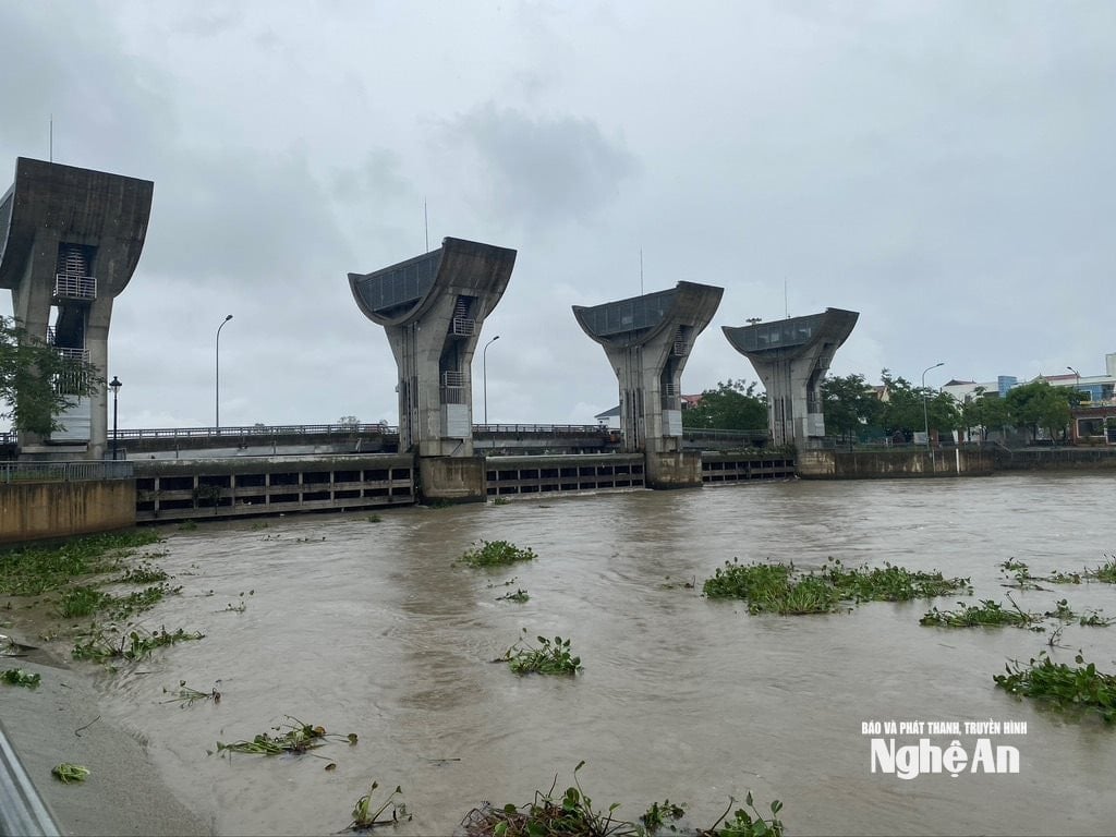 សាលា ២