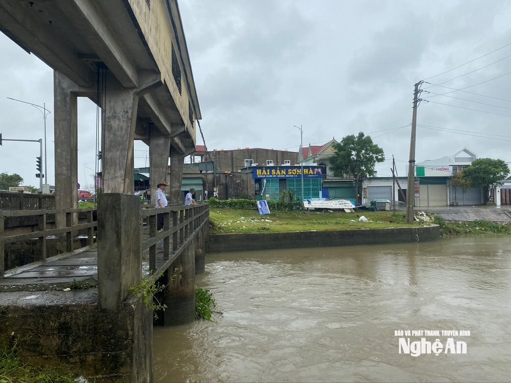 សាលា ៤