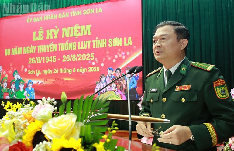 ndo_tl_2.jpg