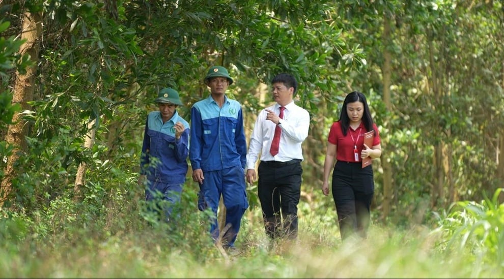 Agribank: Cầu nối đưa tín chỉ carbon Việt Nam vươn ra thị trường quốc tế - 3