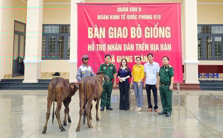 Die Defense Economic Group 915 übergab 100 Zuchtkühe an die Bevölkerung der Gemeinde Giang Thanh.