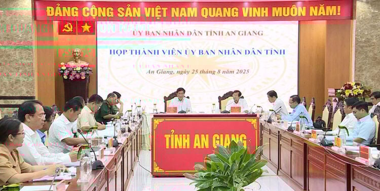 Members of An Giang Provincial People's Committee approve contents under their authority