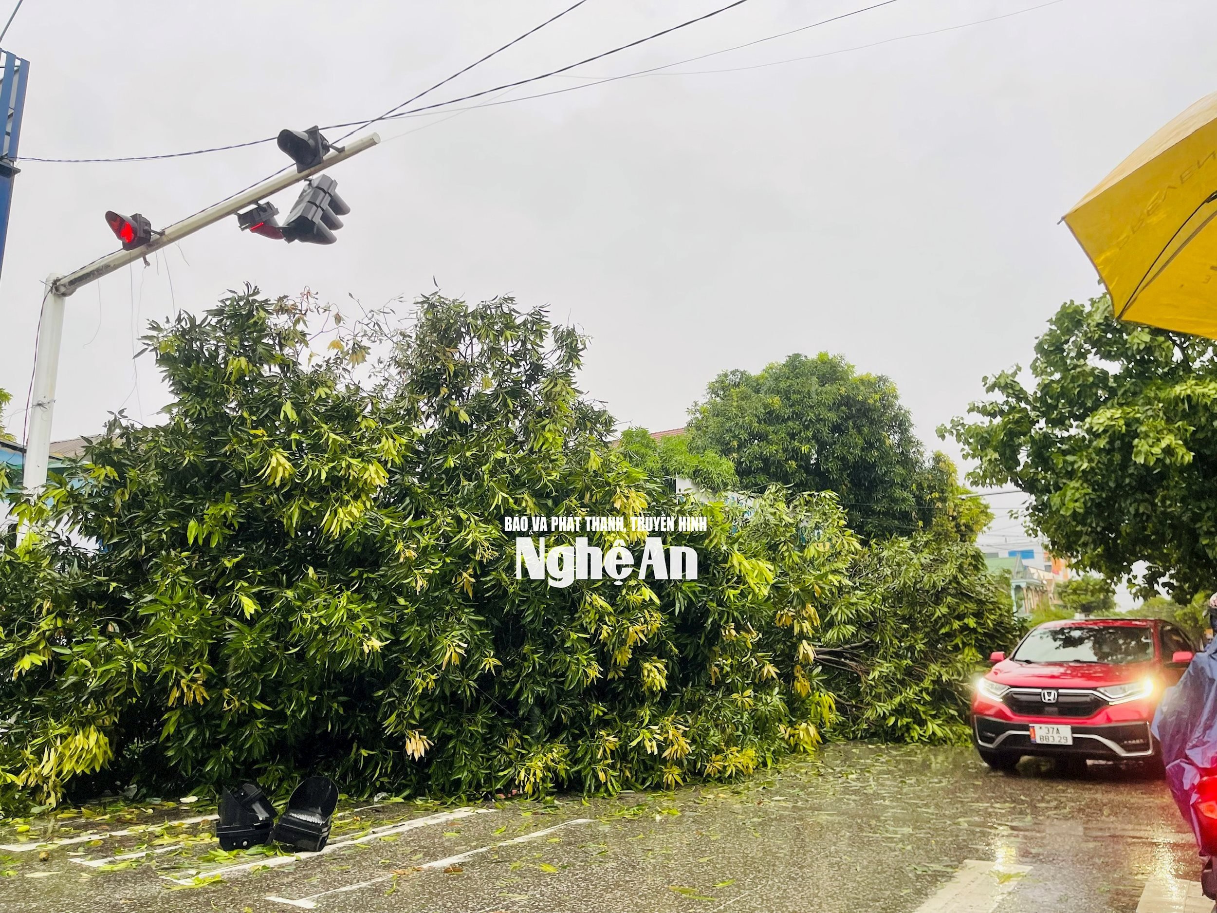 đường phong định cảng