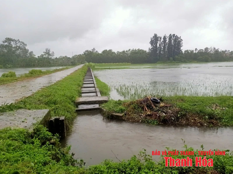 [Actualización] - Inundaciones, aislamiento local; registros iniciales de numerosos daños a viviendas y cultivos