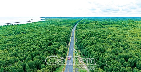 Roads of ambition to reach far