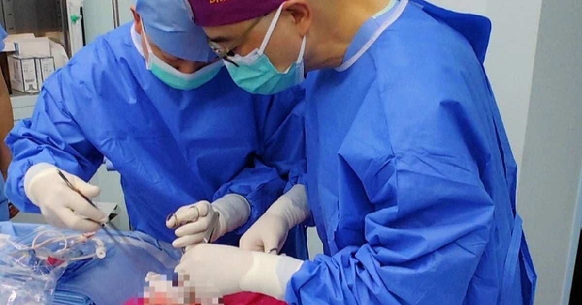 Primer trasplante de pulmón de cerdo a humano
