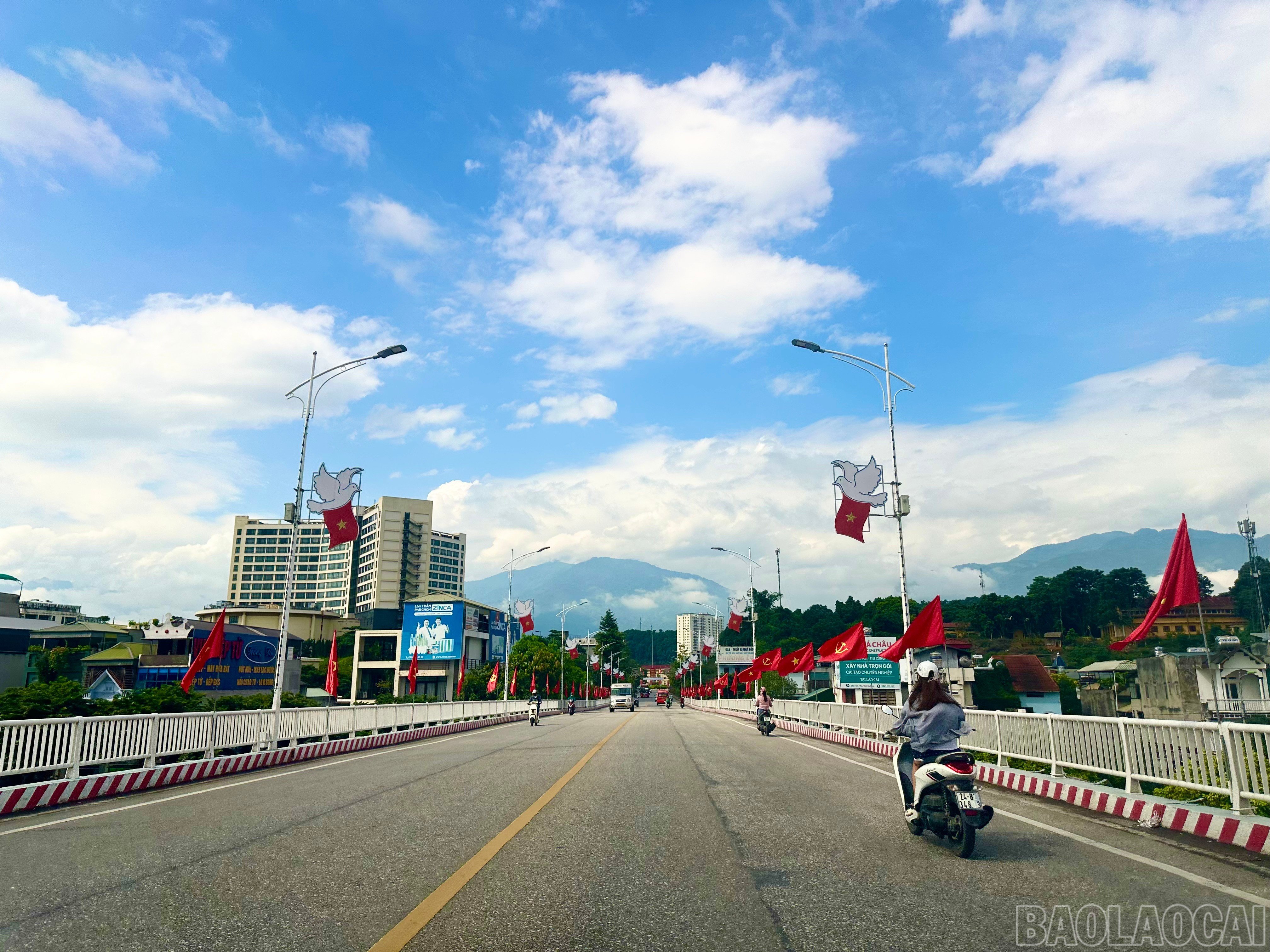 baolaocai-br_img-3966.jpg