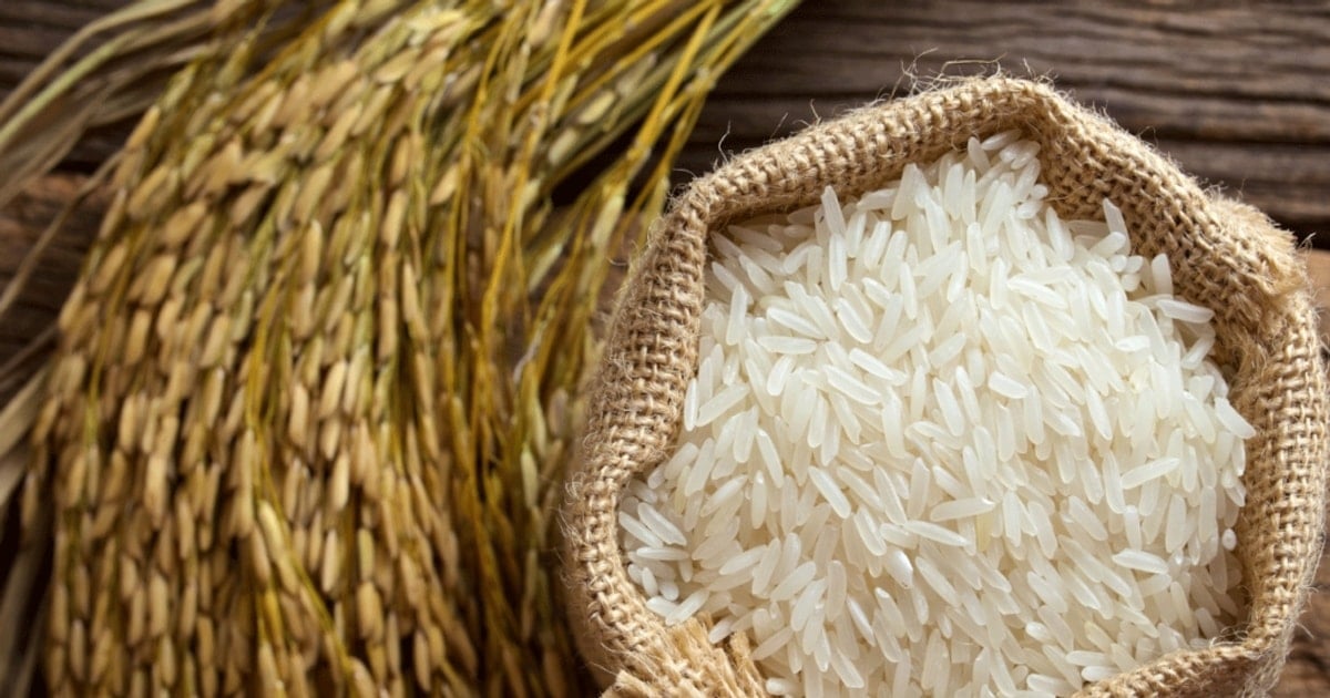 Prix ​​du riz aujourd'hui 26 août : le riz a légèrement diminué, le son sec a augmenté de manière inattendue
