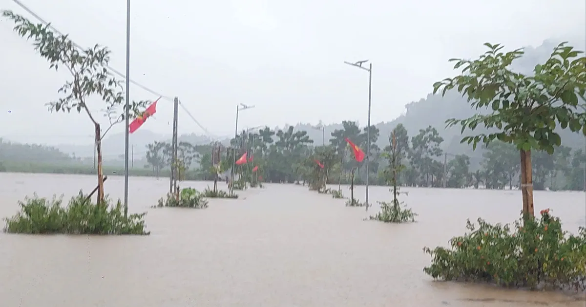Nghe An: El aumento del nivel del agua separa algunas aldeas y los árboles caen por todas partes.