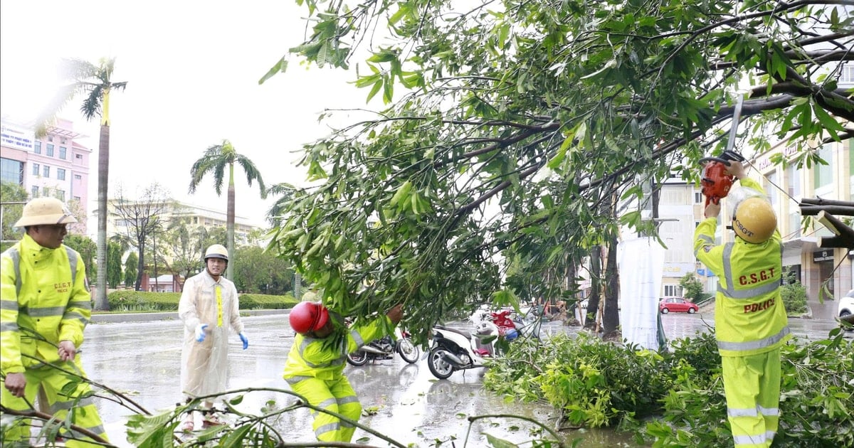La Policía de Tráfico de Nghe An maneja con rapidez los árboles caídos, garantizando la seguridad vial después de la tormenta número 5