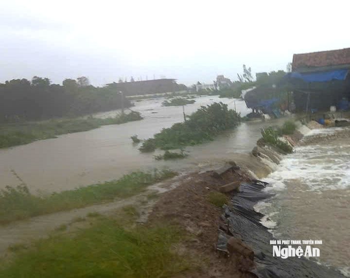 ពណ៌ផ្កា ១៧
