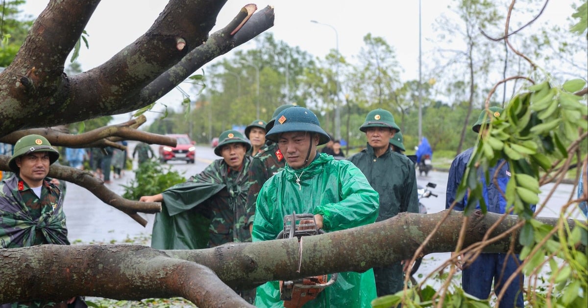 Cửa Lò huy động các lực lượng vào cuộc khắc phục hậu quả sau bão số 5