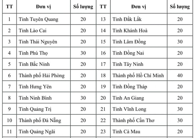  - Ảnh 2.