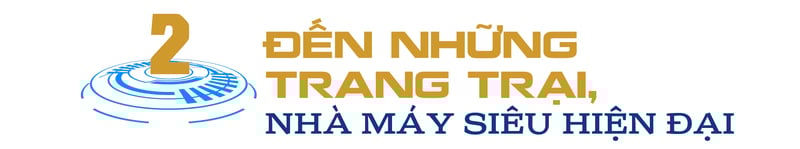 ការចាកចេញពីបច្ចេកវិទ្យា អាជីវកម្មបង្កើនល្បឿនក្នុងយុគសម័យឌីជីថល - ផ្នែកទី 2៖ ចាប់យករលកវិនិយោគ - ៤