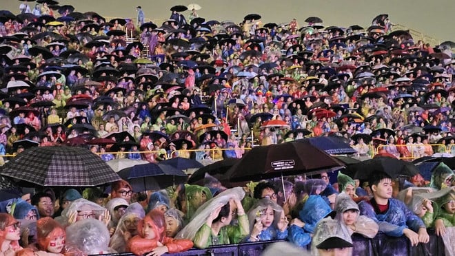 concert7.jpg