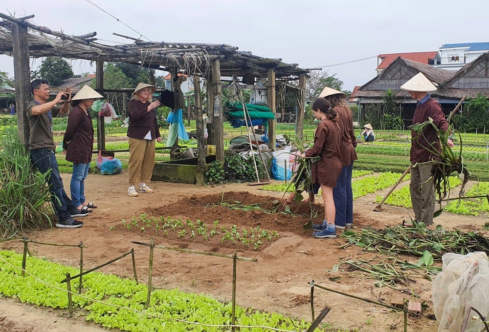 Du lịch Việt Nam siết chuẩn chứng nhận bền vững - Ảnh 2.