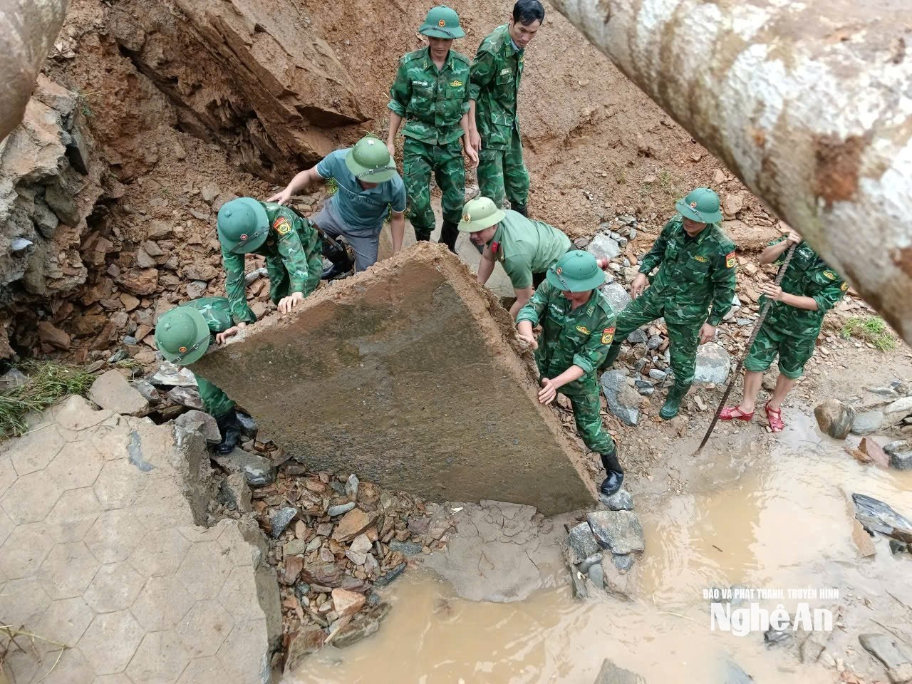 Anh 6