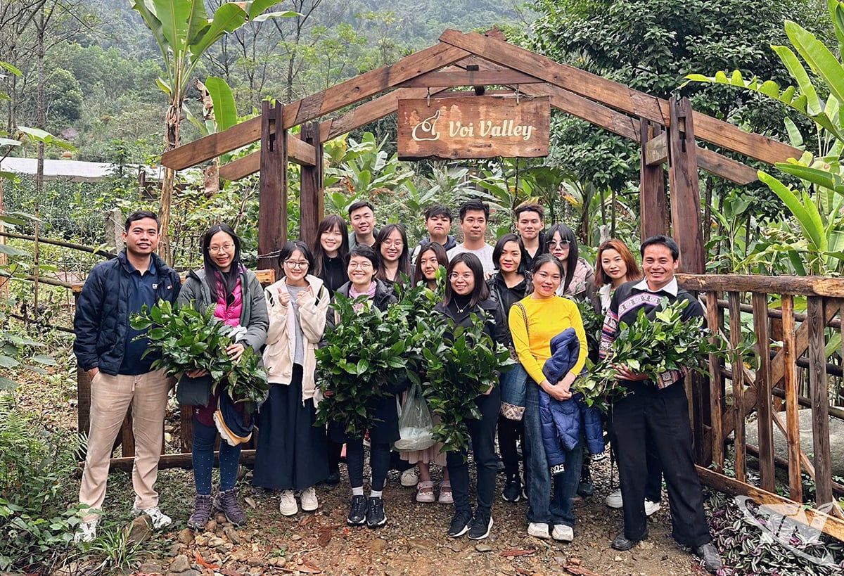 Du khách hào hứng với những trải nghiệm tại Voi valley.