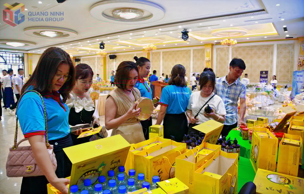 CLB Đầu tư và Khởi nghiệp tỉnh tổ chức chương trình kết nối xúc tiến thương mại khởi nghiệp khu vực miền Đông, tháng 8/2024.