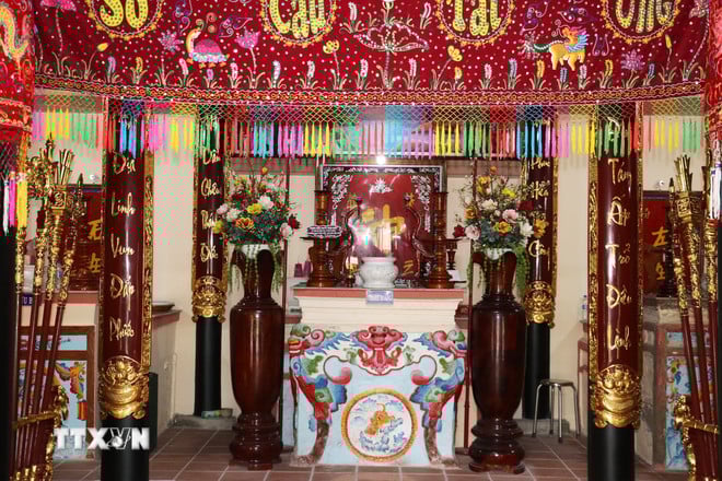 ttxvn-doc-dao-ngoi-dinh-co-mot-khong-hai-o-dong-thap-1-4.jpg
