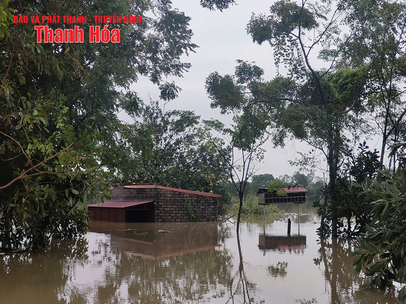 170 គ្រួសារ​នៅ​ភូមិ Tien Nong ឃុំ Dinh Hoa ត្រូវ​ដាច់​ដោយ​ទឹក​ជំនន់។