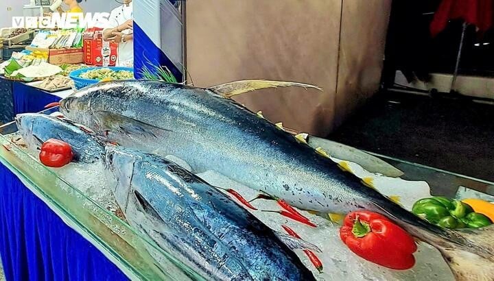 Tại lễ hội, 5.000 suất cá ngừ đại dương sẽ được mổ phile và chế biến thành những món ăn sáng tạo, bổ dưỡng, lạ miệng để đãi khách.