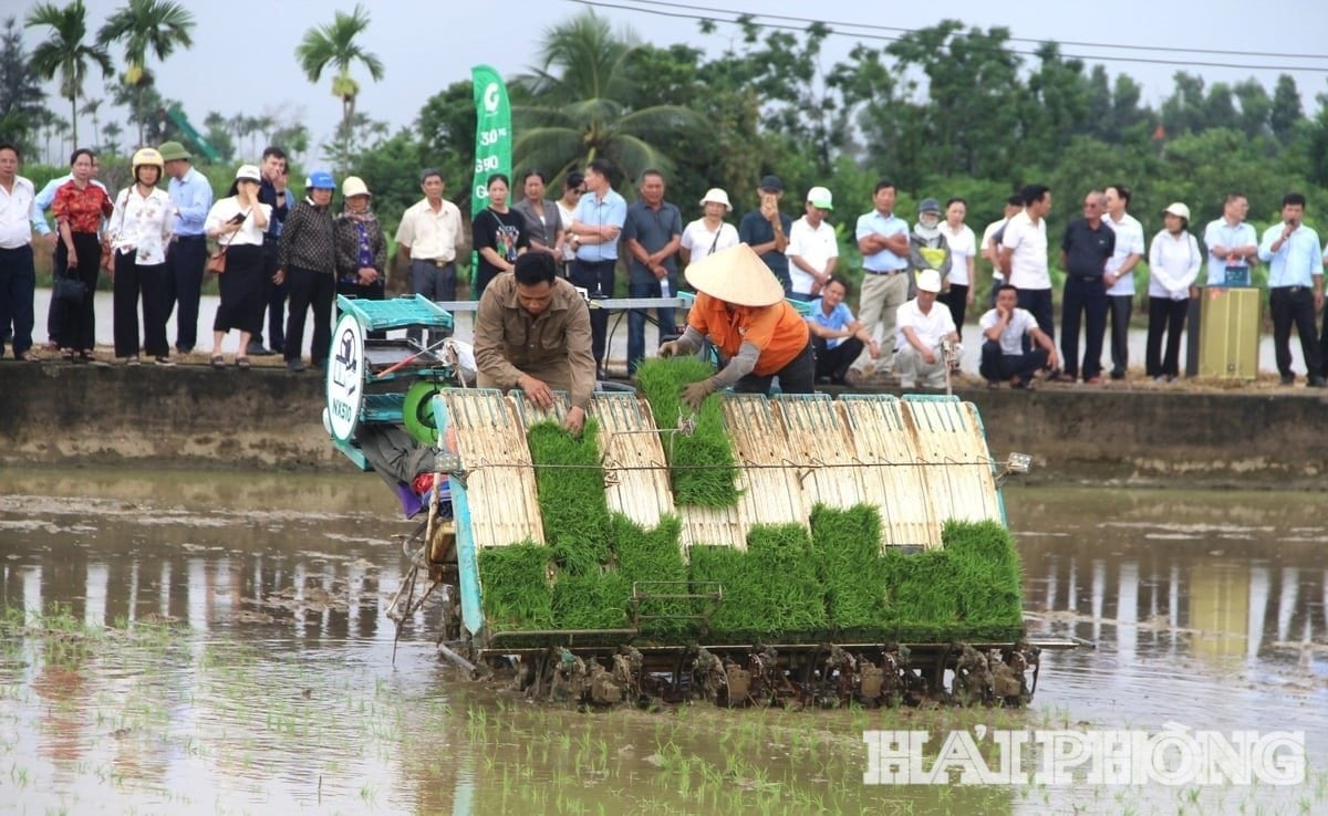viet-khe(1).jpg
