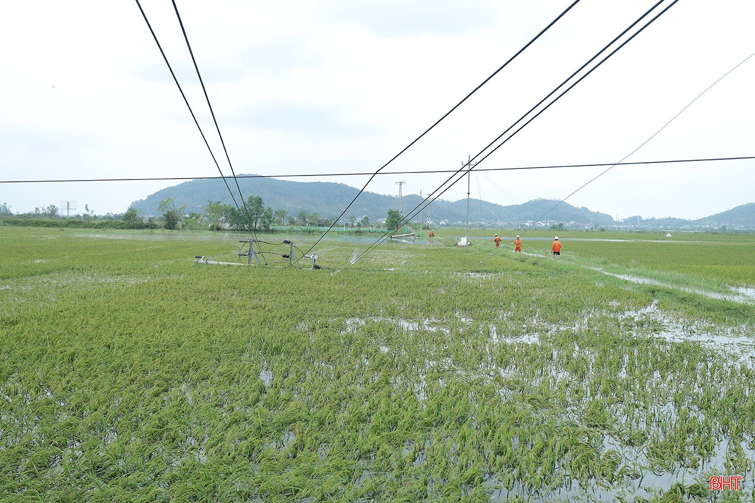 bqbht_br_mat-dien-sau-bao-2.jpg