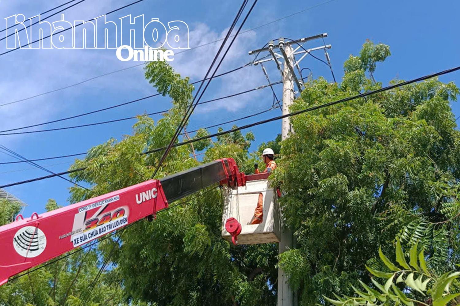 បុគ្គលិកក្រុមហ៊ុន Khanh Hoa Power Company កាត់ដើមឈើដើម្បីបោសសំអាតច្រករបៀង និងធានាសុវត្ថិភាពបណ្តាញអគ្គិសនី។