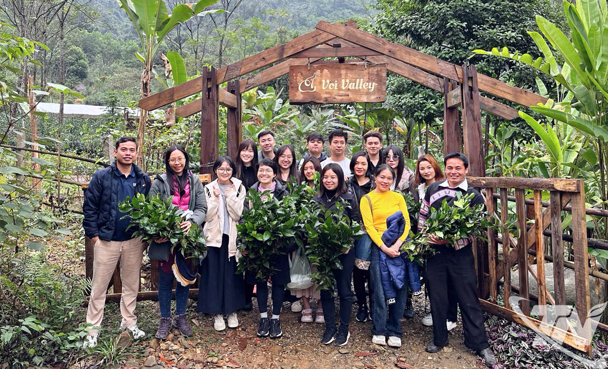 Rừng xanh trái ngọt Quân Chu