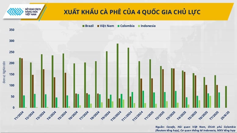 Cà phê thế giới khan hiếm, Việt Nam có phá vỡ kịch bản ‘được mùa mất giá’?- Ảnh 2.
