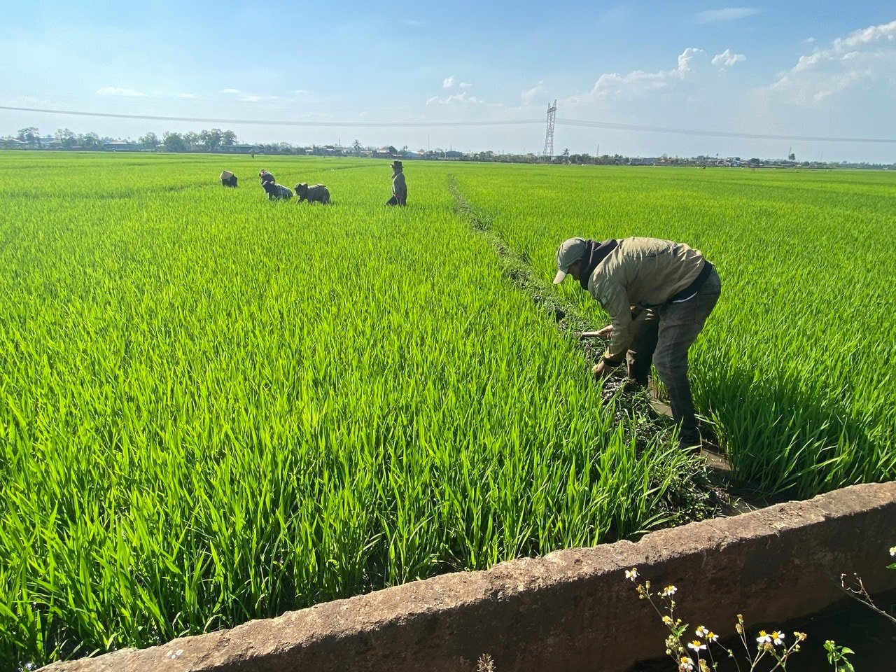Mở rộng diện tích lúa nước, giúp các hộ vùng đồng bào dân tộc thiểu số xã Nam Đà, tỉnh Lâm Đồng bảo đảm an ninh lương thực