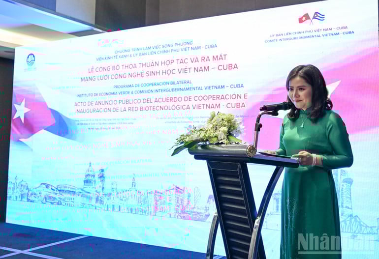 ndo_br_bnd-6989.jpg
