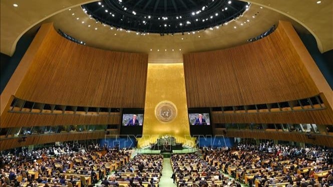21 марта 2024 года Генеральная Ассамблея Организации Объединенных Наций приняла историческую резолюцию о содействии развитию «безопасных, надежных и заслуживающих доверия» систем искусственного интеллекта (ИИ) в интересах устойчивого развития для всех. (Фото: THX/TTXVN)