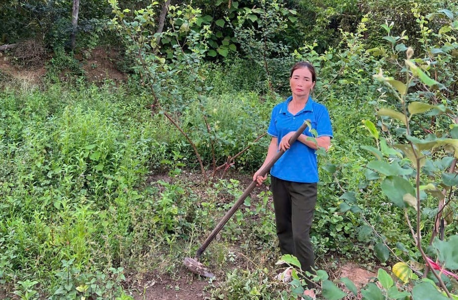 chi-vinh.jpg