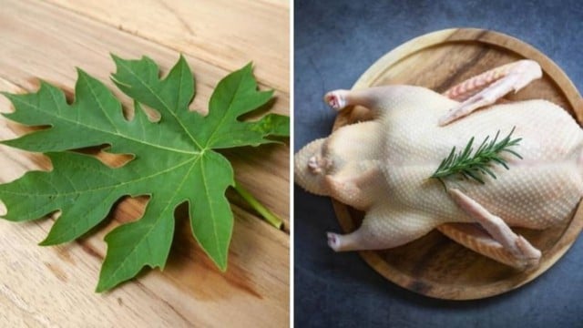 Chỉ cần dùng thứ này thả vào chậu nước, đảm bảo bạn có thể làm sạch lông măng vịt rất nhanh, vịt hết sạch mùi hôi- Ảnh 3.