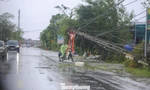 In Nghe An und Ha Tinh kommt es zu großflächigen Stromausfällen, die Stromindustrie arbeitet mit Hochdruck an der Reparatur der Stromleitungen.