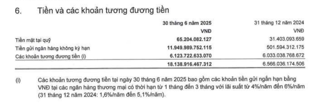 Doanh nghiệp ông Đặng Thành Tâm đem gần 12.000 tỷ đồng gửi ngân hàng - 2