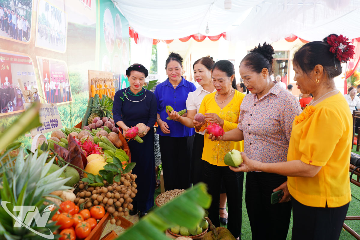La gente visita el stand que muestra productos agrícolas típicos de la comuna de Phu Thinh.