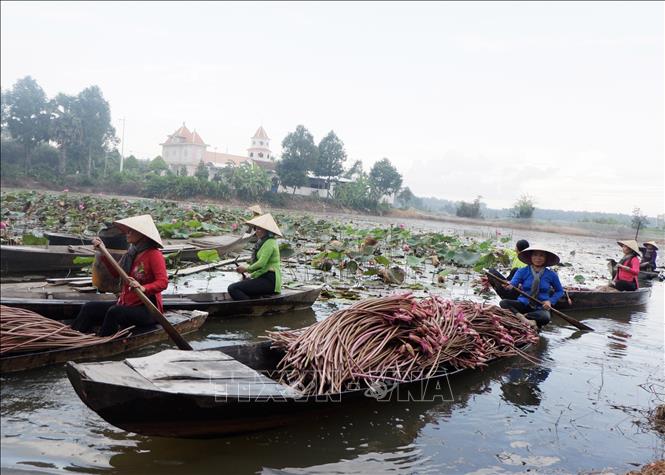 Khai thác lợi thế đa dạng, Tây Ninh tăng tốc phát triển du lịch - Ảnh 2.