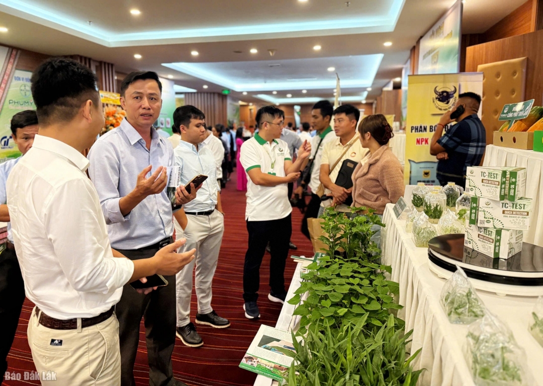 អង្គភាព និងអាជីវកម្មចែករំលែកបច្ចេកទេសដាំ និងថែទាំដើមឈើហូបផ្លែ។