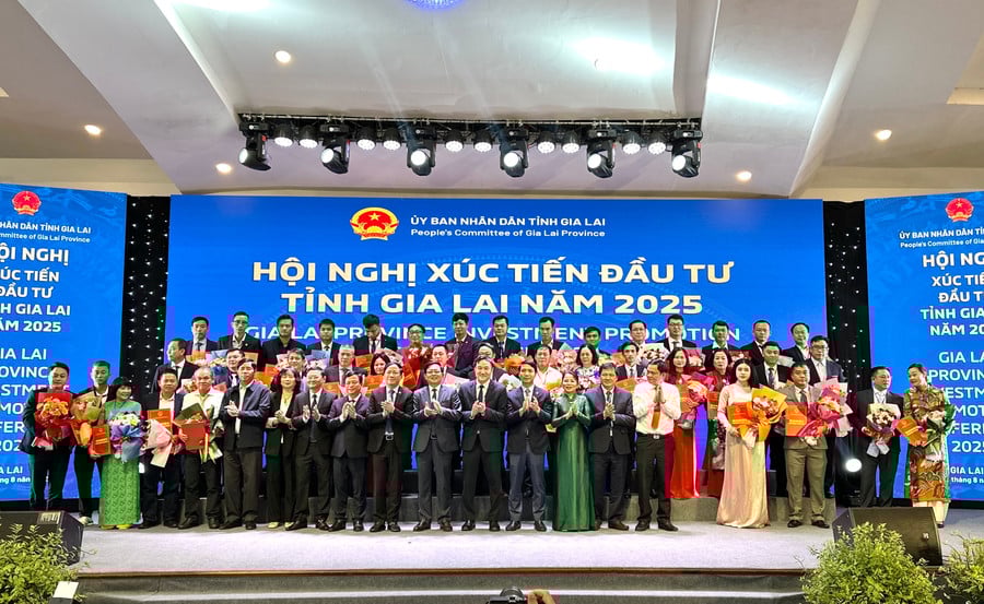 tinh-gia-lai-da-trao-bien-ban-ghi-nho-hop-tac-dau-tu-cho-42-du-an-voi-tong-von-dang-ky-93430-ty-dong-anh-ha-duy.jpg