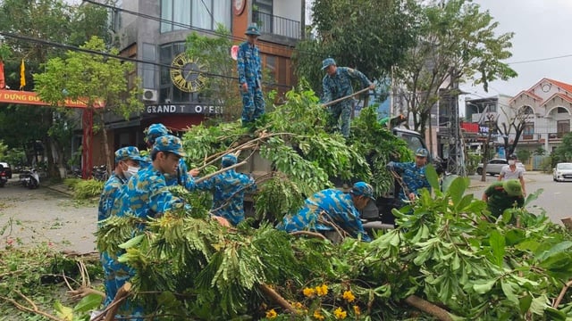 Màu xanh sau bão- Ảnh 2.