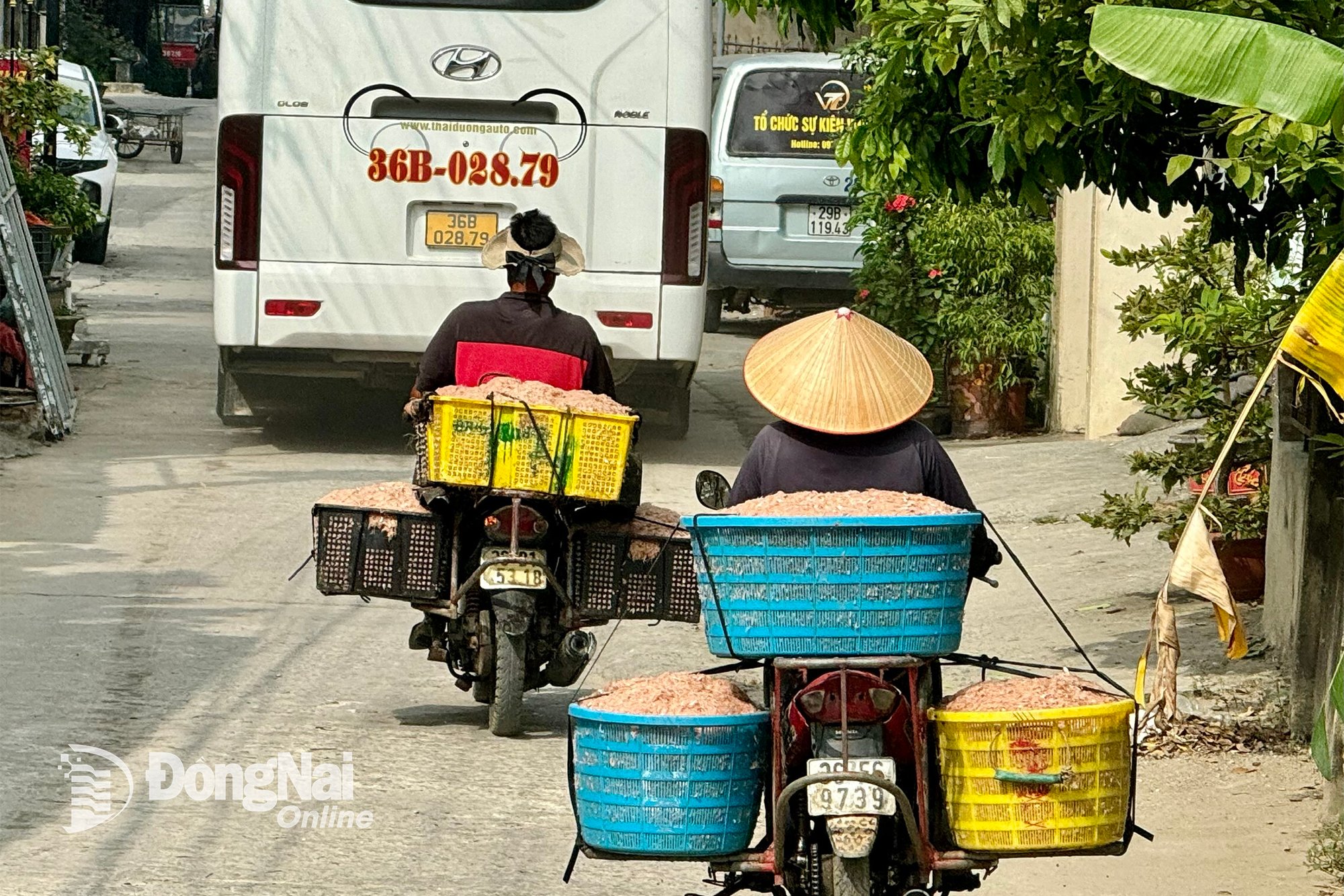 Ngư dân ở vùng biển Tiến Hải (tỉnh Thanh Hóa) chở con ruốc, một trong những nguyên liệu để sản xuất các loại mắm truyền thống.