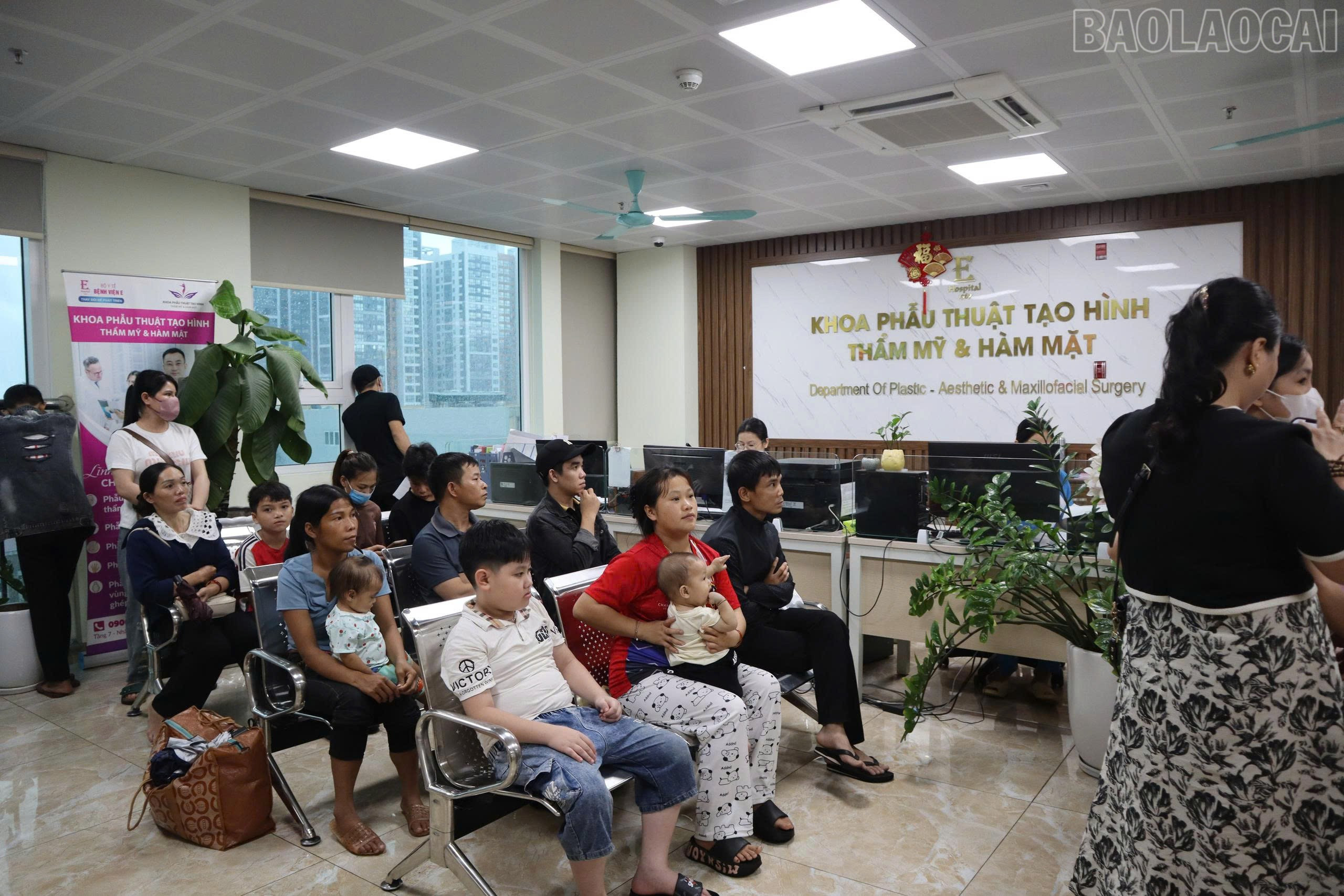 baolaocai-tr_z6957613621839-a3745d0a3ba4838763dd75414c278d57.jpg